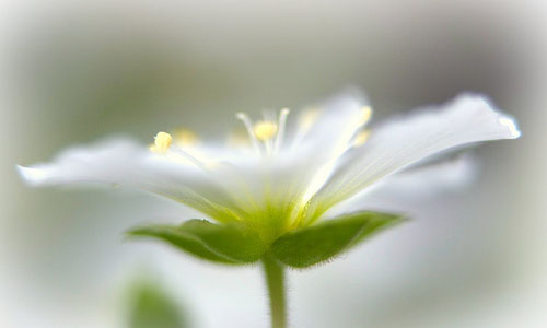 KY开元集团官网