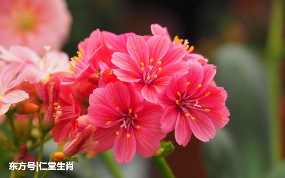 KY开元集团官网