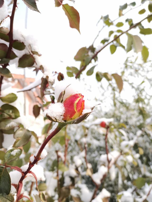 KY开元集团官网