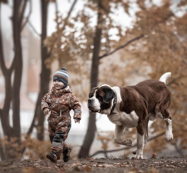 ky开元集团官网入口